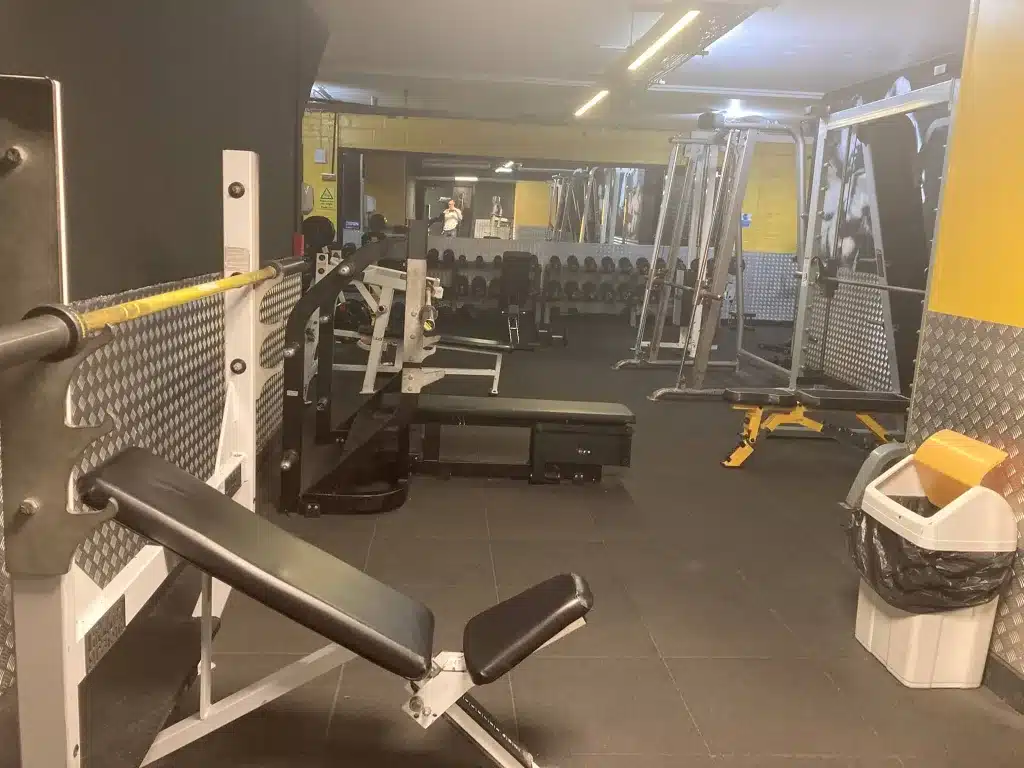365 Gym Bench Press Benches