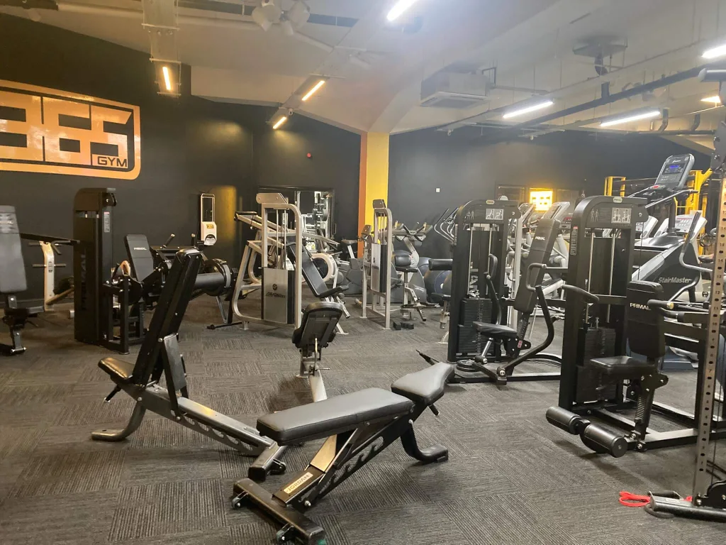 365 Gym Upper Body Machine Space