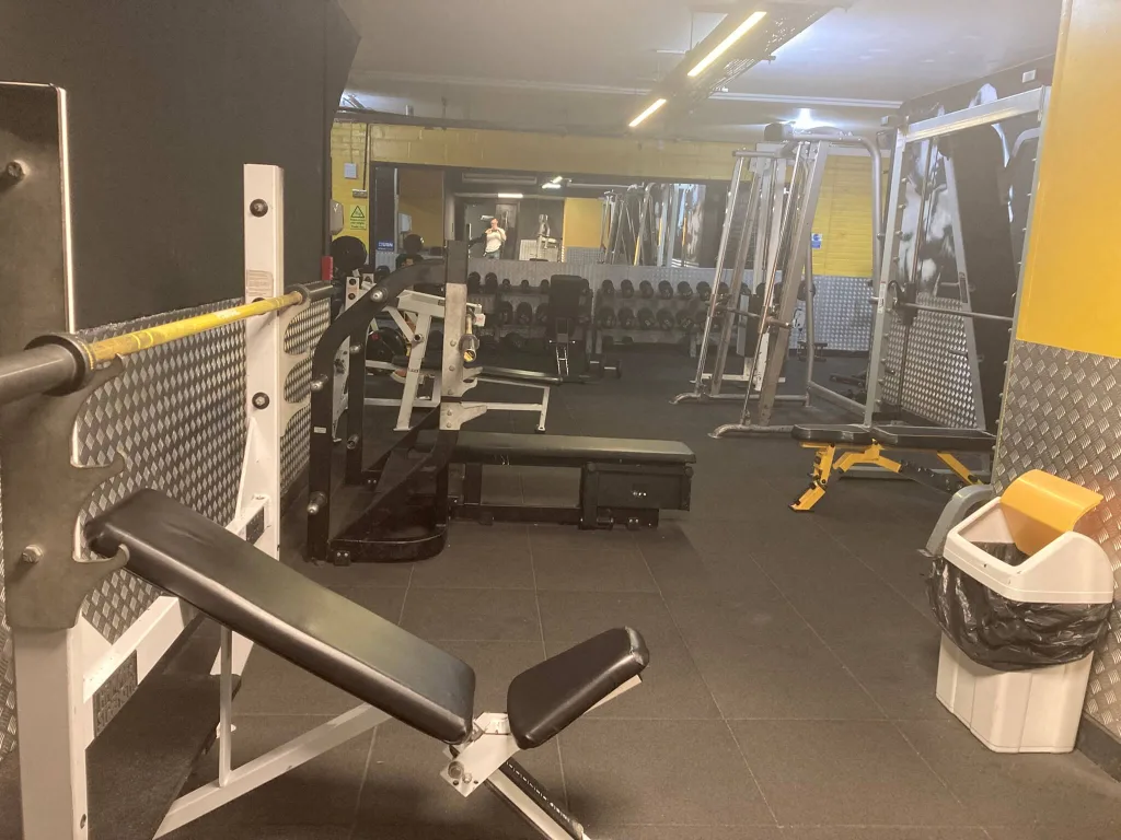 365 Gym Bench Press Benches